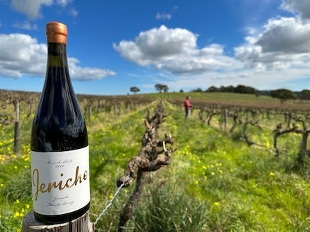 Grenache & Gourmet - Tasting & Tapas with Jericho Wines