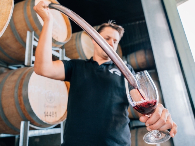 Winemaker and Wine from Barrel