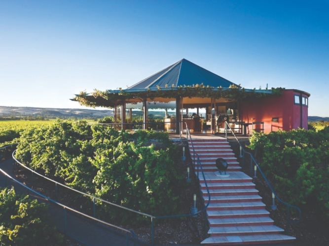 Vista showing Hugh Hamilton Wines cellar door with blue sky, green vineyards and Willunga hills
